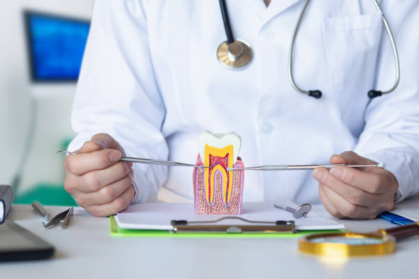 Best Emergency Wisdom Teeth Removal in Pocasset, MA